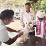 వాళ్లు మూగజీవాల దేవుళ్ళు వారు…. వైద్యో నారాయణో హరి