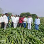 ఉద్యోగులతో సమానంగా జర్నలిస్టులకు హెల్త్ కార్డులు ఇవ్వాలి, లేదంటే ఉద్యమమే : మీడియా అకాడమీ మాజీ చైర్మన్ అల్లం నారాయణ